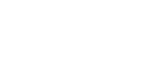 Norton logo white