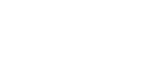 Durrie Sales logo white